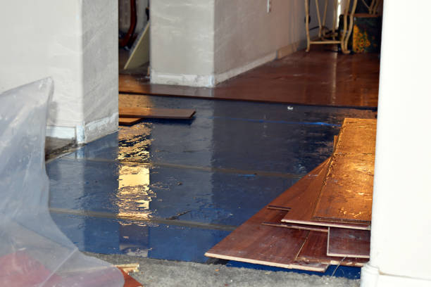 Professional Water Damage Restoration technician working in Medina, TN